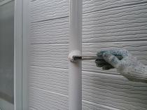 横浜市戸塚区I様邸竪樋上塗り２回目