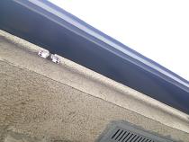 横浜市保土ヶ谷区N様邸軒樋塗装施工前