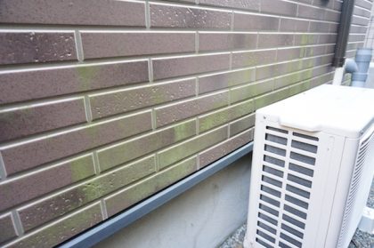 コケがついた塗装前の外壁