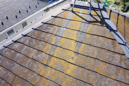 コケが発生した塗装前の屋根