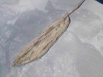 ウレタン密着工法施工前浮き箇所