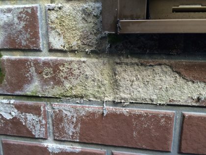 外壁塗装施工前カビ