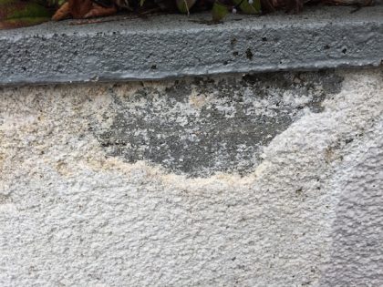 塀塗装補修工事前