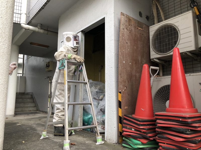 スズメバチ　駆除　横浜市　無料見積もり　外壁塗装　１級塗装技能士