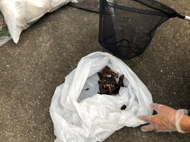 外壁塗装　塗り替え　横浜市　栄区　戸塚区　港南区　無料見積もり　安心　