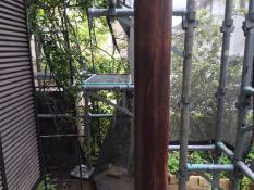 横浜市戸塚区H様邸ベランダ鉄柱塗装前