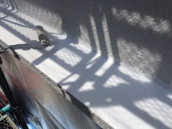 横浜市南区M様邸庇天端塗り替え上塗り１回目施工中