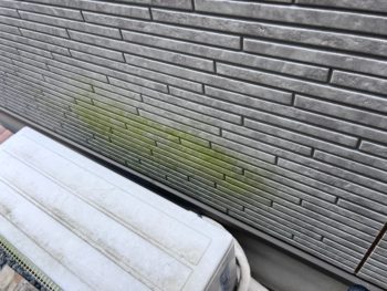 横浜市保土ヶ谷区Y様邸UVプロテクトクリヤー外壁塗装施工前画像