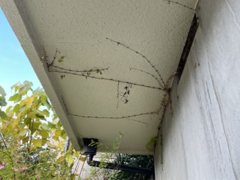 横浜市鶴見区U様邸パーフェクトトップ外壁塗装施工前画像