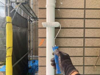 鎌倉市W様邸竪樋塗装上塗り1回目